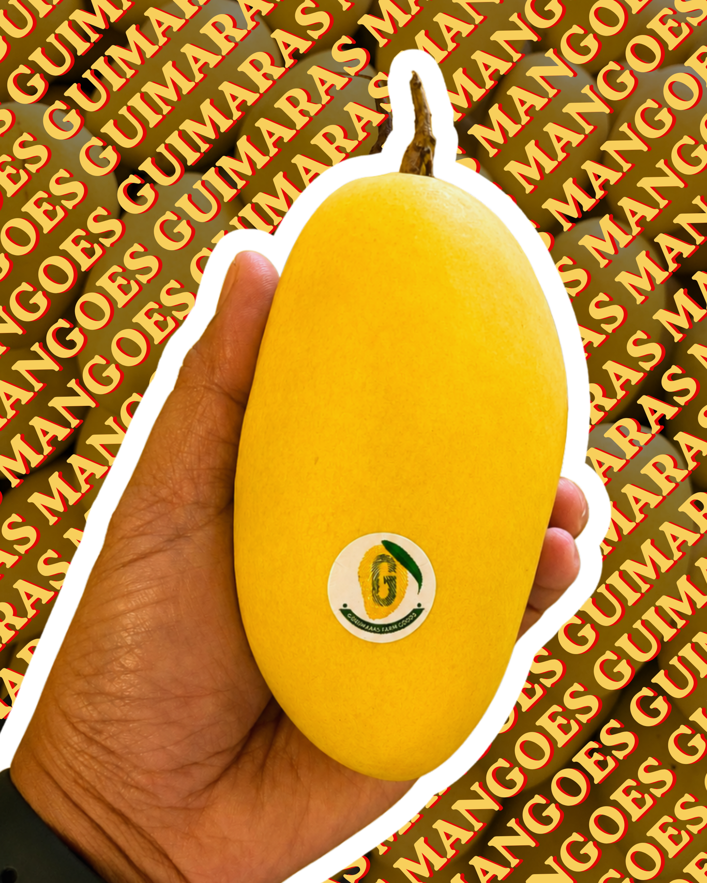 PRE-ORDER: Guimaras Mangoes - 249kr/kg