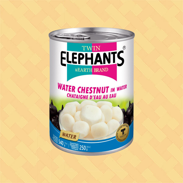 Twin Elephants & Earth Brand Water Chestnut in Water 540g