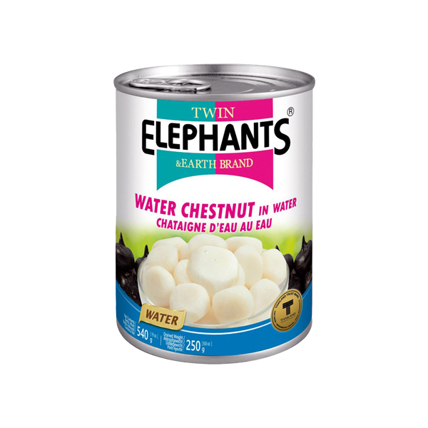 Twin Elephants & Earth Brand Water Chestnut in Water 540g